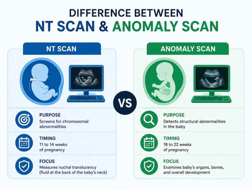 nt scan vs anomaly scan