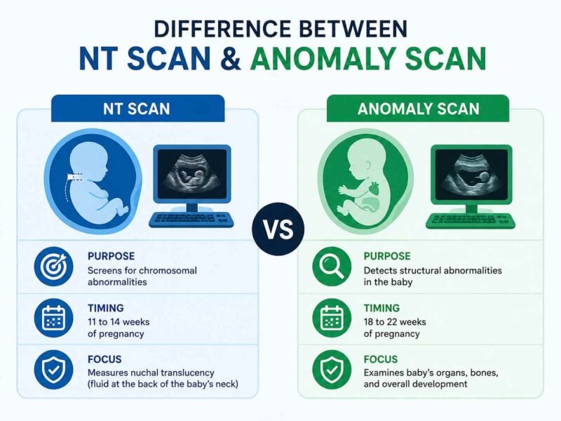nt scan vs anomaly scan